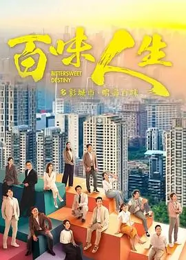 雾港迷局剧集在线观看