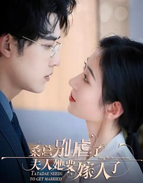 山河故人录剧集在线观看